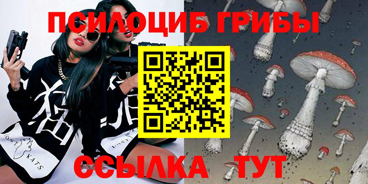 Галлюциногенные грибы Cubensis Кашира