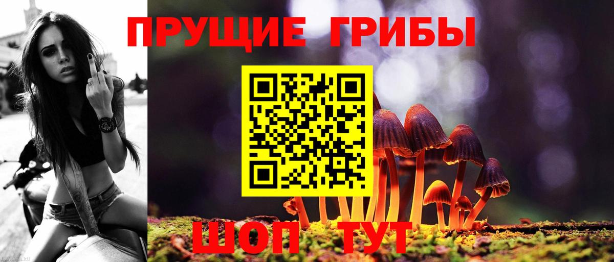Кашира  Галлюциногенные грибы мухоморы  Вход с VPN 